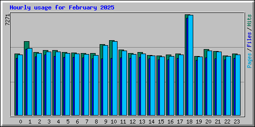 Hourly usage for February 2025