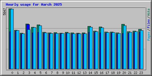 Hourly usage for March 2025