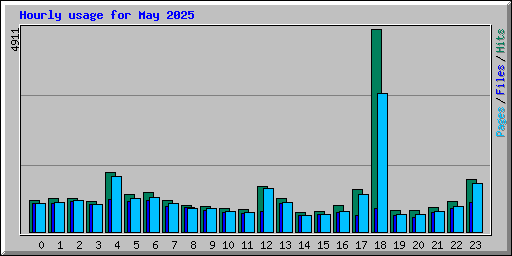 Hourly usage for May 2025