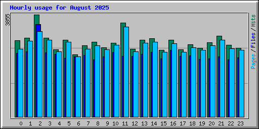 Hourly usage for August 2025