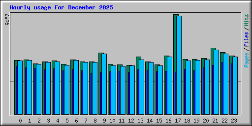 Hourly usage for December 2025